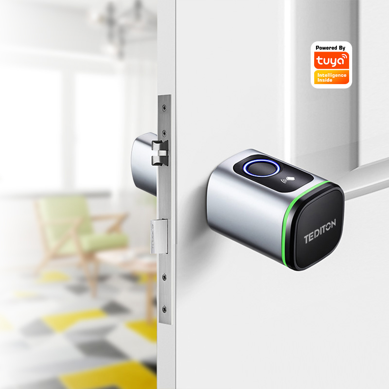 Airbnb Smart Home - Tuya Wifi Smart Cilinder Deurslot Biometrisch