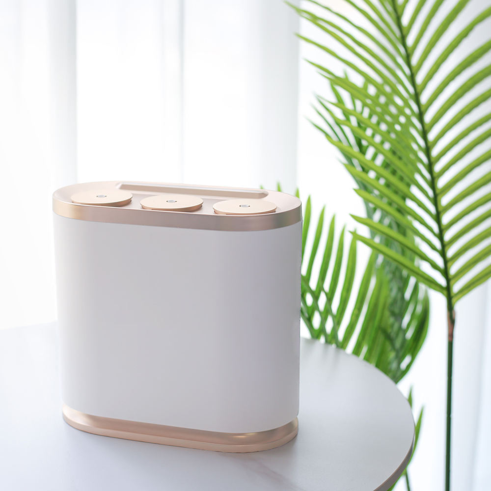 Smart Home Market - Aangepaste Private Label Geurmarketing Huisgeur CE