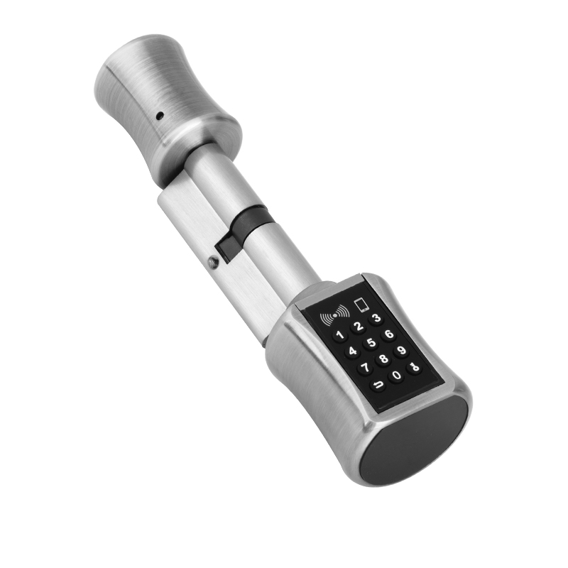 Airbnb Smart Home - Bluetooth-cilinderslot TT-slot wachtwoordkaart Slim deurslot Digitaal