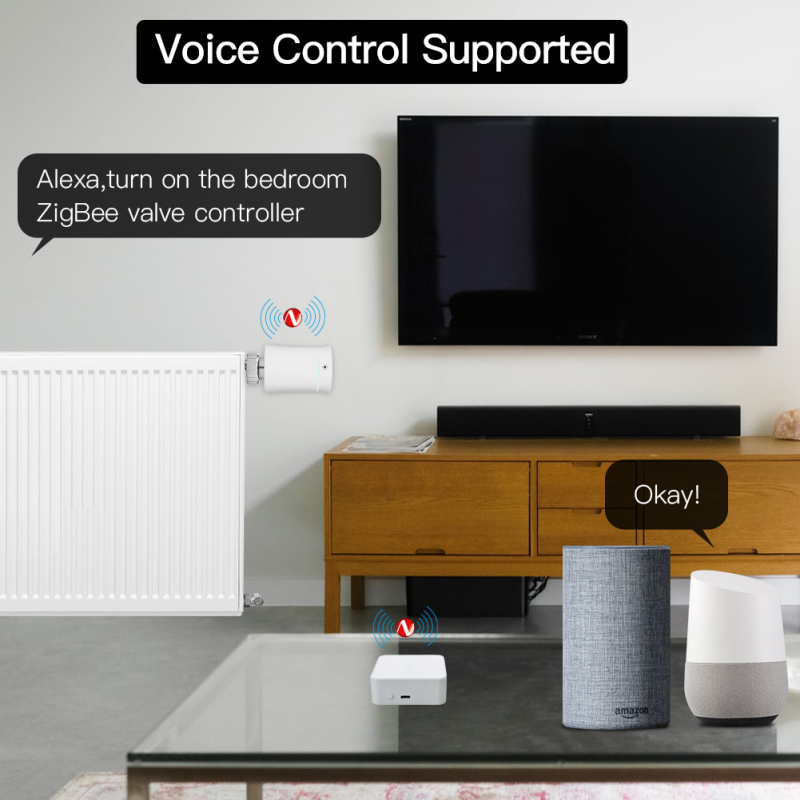 Tuya Smart Gateway Hub Multi-m - Smart Home Vimar recensie en prijs